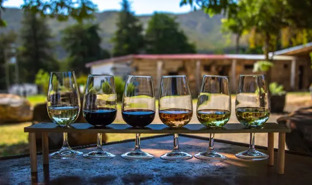 varias copas llenas de vino