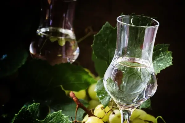 cómo se toma el pisco