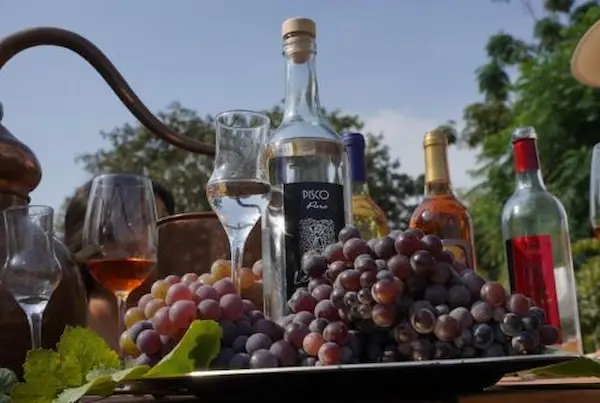 Cultura andina y pisco ,un viaje por las raíces del Perú