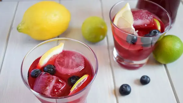 Jugo de arándanos con agua mineral y un toque de limón