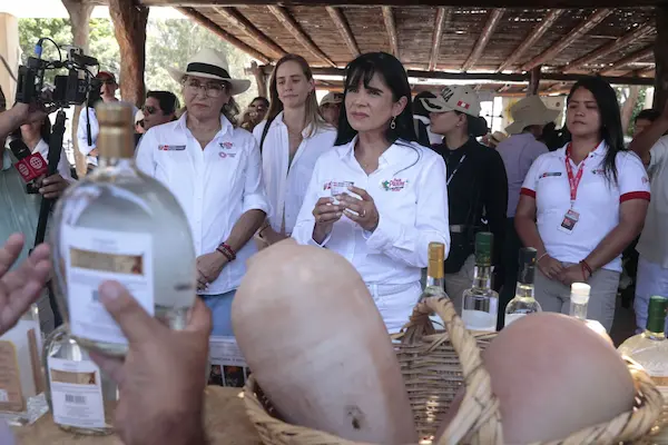 Rutas y experiencias para conocer la cultura andina y el pisco