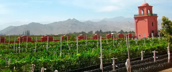Las rutas del pisco ,sabor, historia y paisaje