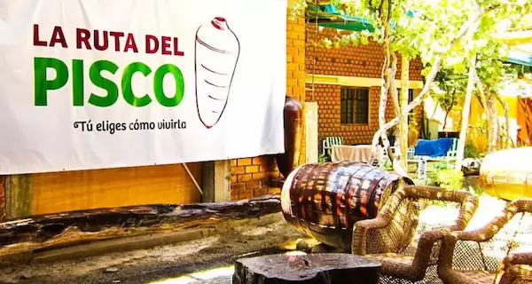 Pisco peruano y turismo , una ruta de sabor