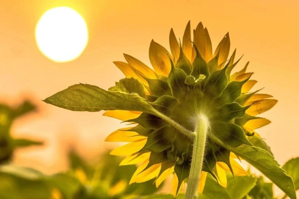 ¿Qué es la energía positiva?